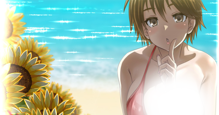 DLsite 紳士排行榜.png