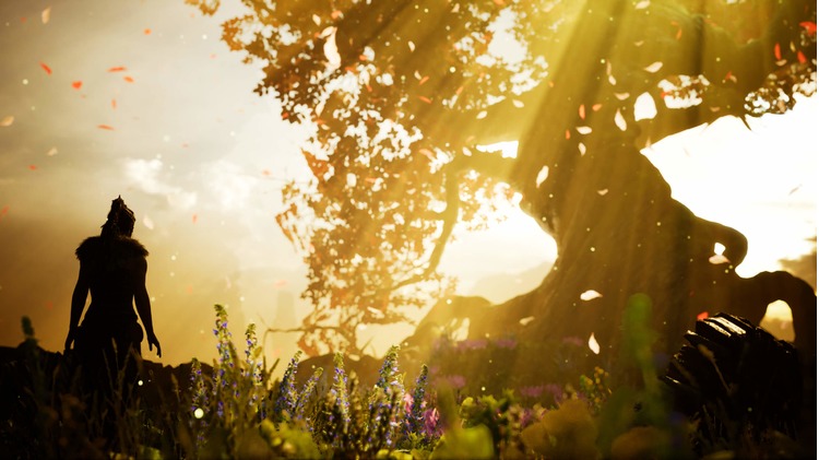 Screenshot_06-12.jpg