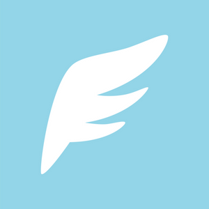 寶可夢傳說 Z-A系列.png