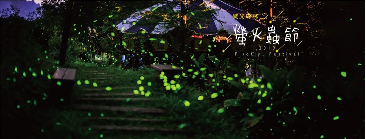 2019薰衣草森林螢火蟲-bn.jpg