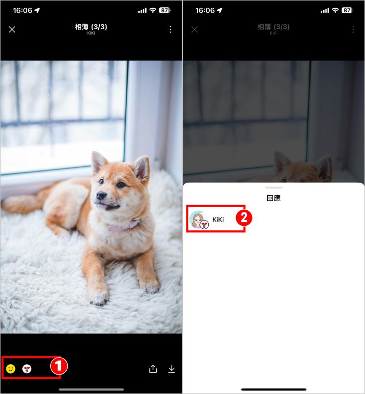 LINE相簿表情回應 4.jpg