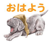 847539577.png