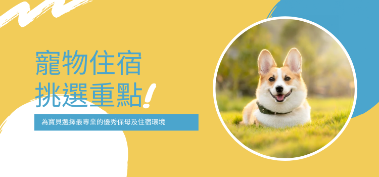 寵物住宿 挑選重點!.png