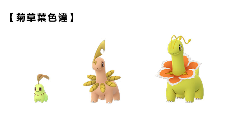 菊草葉-色違.jpg