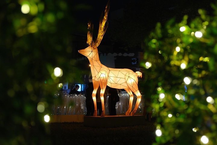屏東公園 (8).jpg