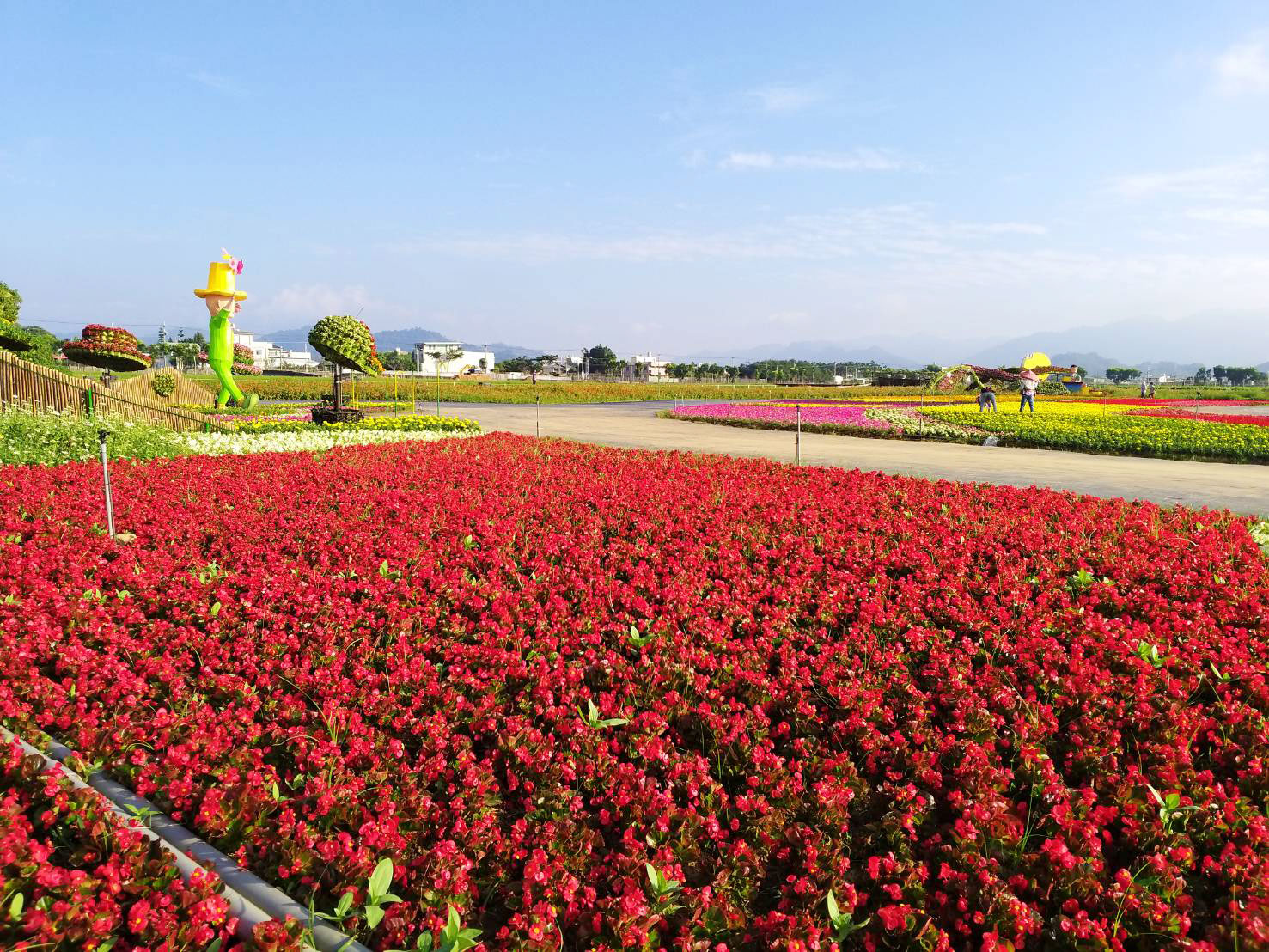 2019新社花海-5.jpg