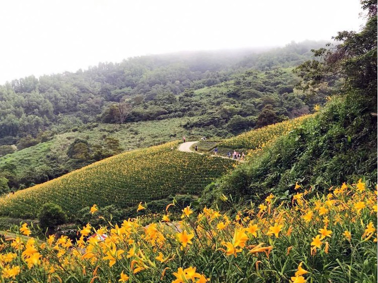 台東知本天山農場.jpg