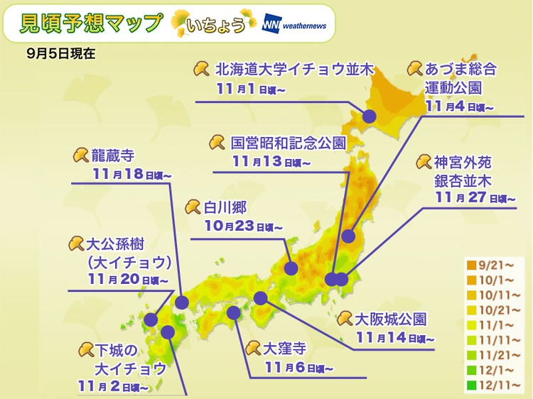 2018-銀杏最前線.jpg