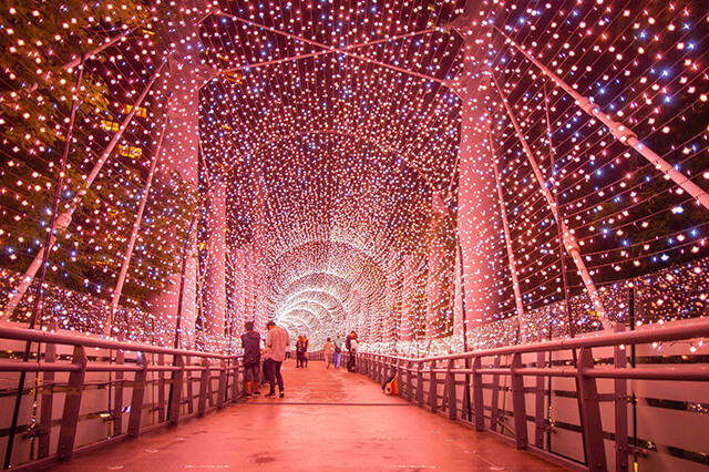金澄星橋.jpg