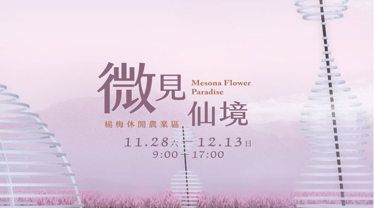 桃園仙草花節2020-1.jpg