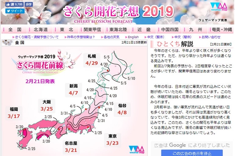 さくら開花予想-bn.jpg