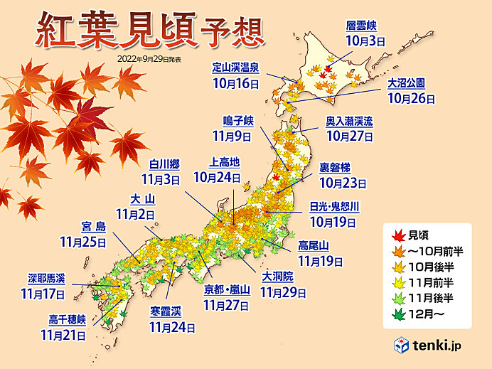chart-large.jpg