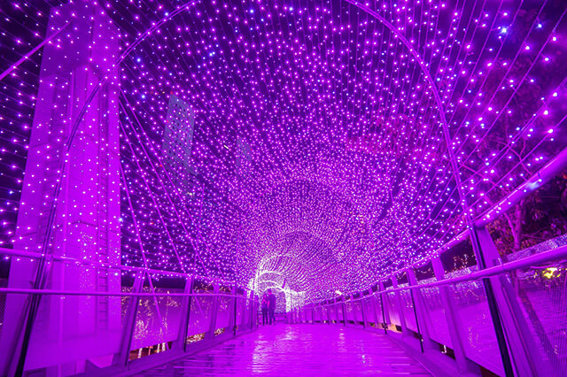 紅粉星橋.jpg