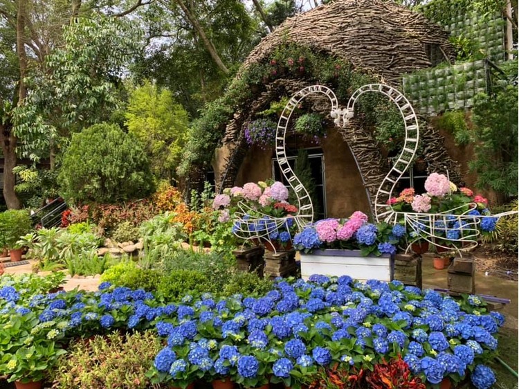 花露休閒農場繡球花-bn.jpg