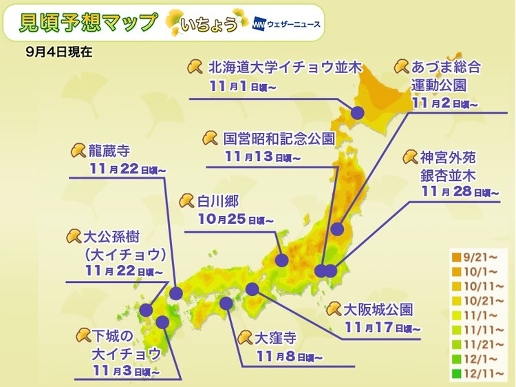 2019銀杏最前線-第一次.jpg