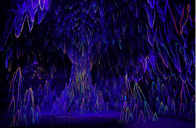 268420291_4973085696076560_2759435551063119307_n.jpg