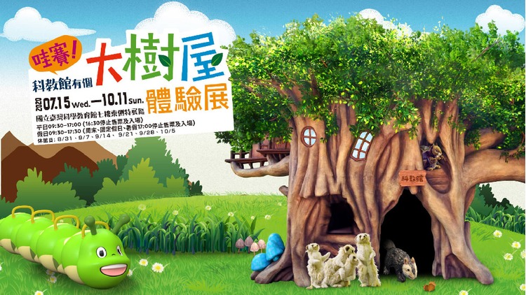 科教館有個大樹屋.jpg