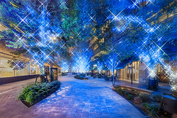 HIBIYA Magic Time Illumination 2025-1.jpg