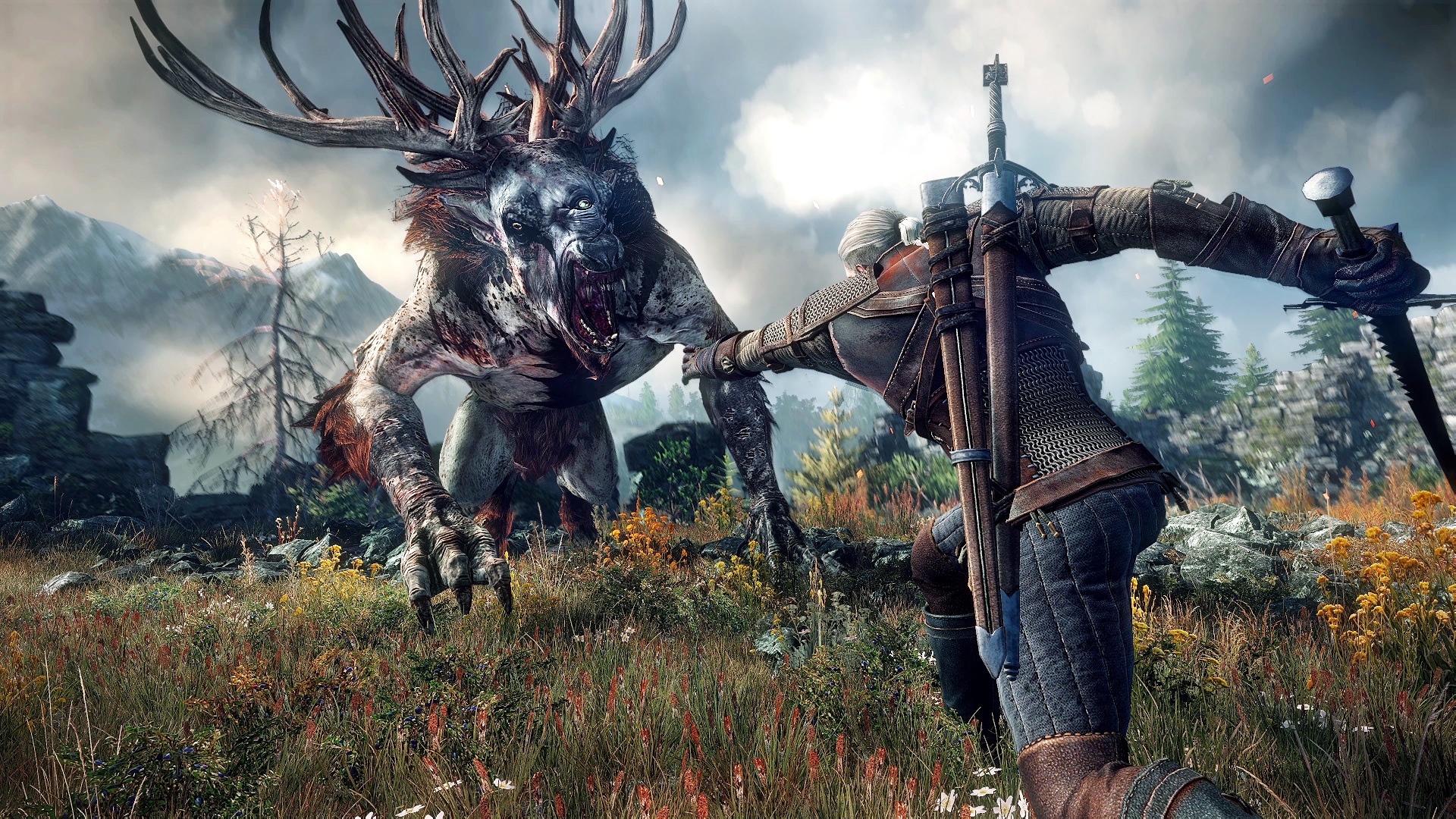 The witcher III