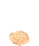 蚯蚓