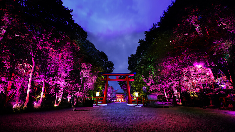1Japan日本-下鴨神社-1
