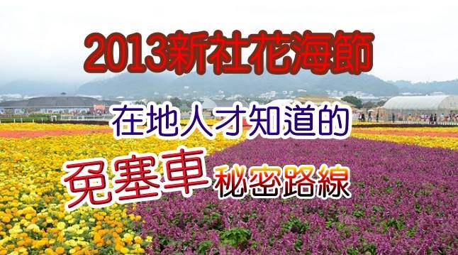 Sea of flowers in Xinshe-big-20131118-Jill