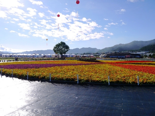 新社花海
