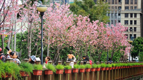 2015新北情人節活動、餐廳、景點、約會去處一覽 5