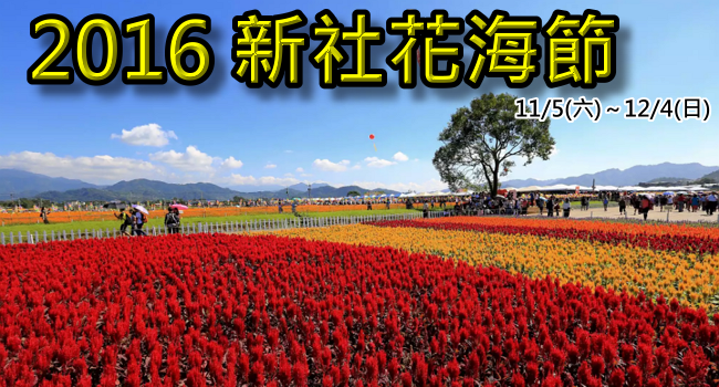 161007 新社花海節, 2016年, 105年, 台中國際花毯節 (2)