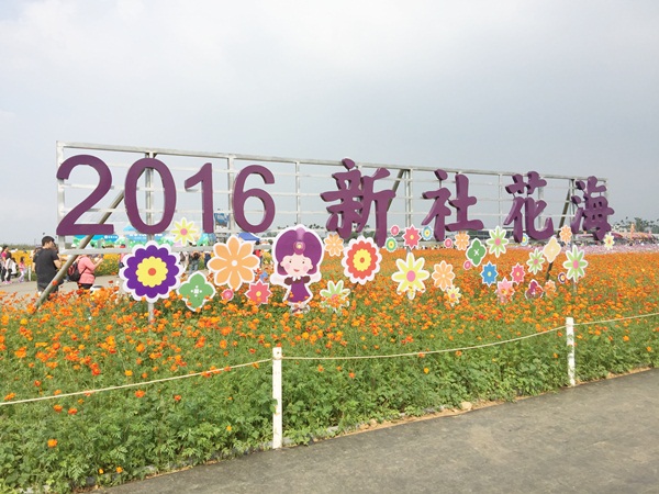 161115新社花海節, 2016年, 105年, 台中國際花毯節 (7)