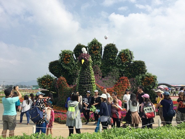 161115新社花海節, 2016年, 105年, 台中國際花毯節 (2)