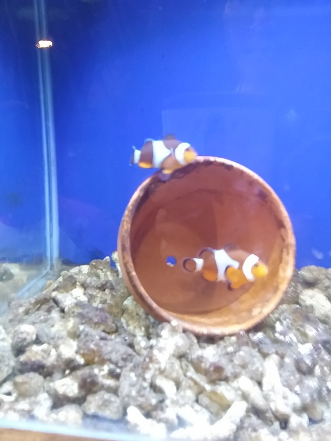 20150227_145715