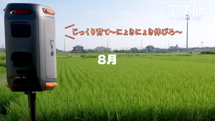 碧藍航線.png