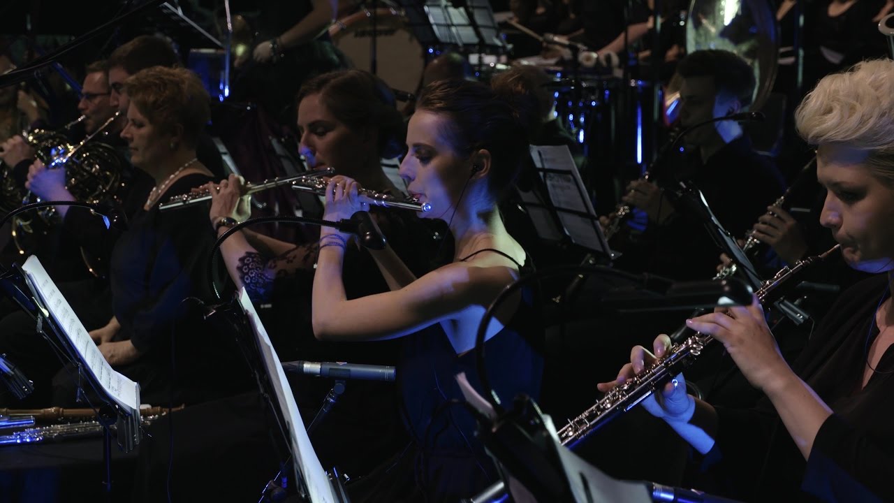 The Witcher 3 Wild Hunt concert (2016).jpg
