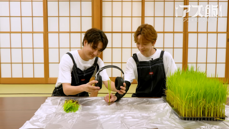 碧藍航線.png