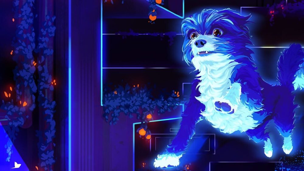 doggo-1000x563.jpg