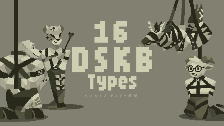 16 DSKB Types.jpg