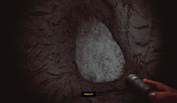 【Steam 限時免費】第一人稱恐怖生存遊戲《恐怖深淵：採菇日》永久保存中