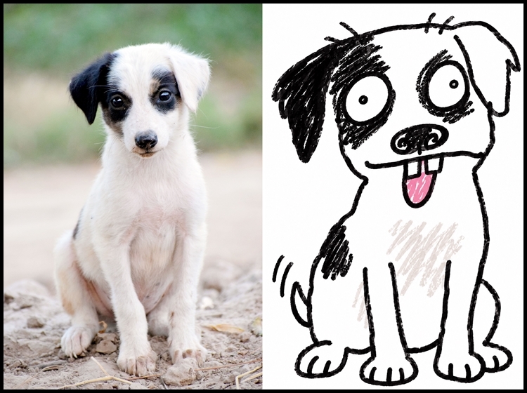 dog.jpg