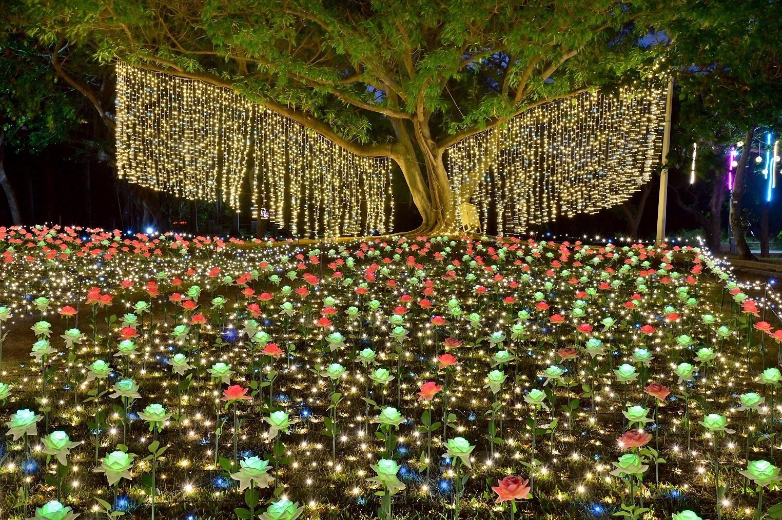 沙鹿聖誕嘉年華 2025.jpg