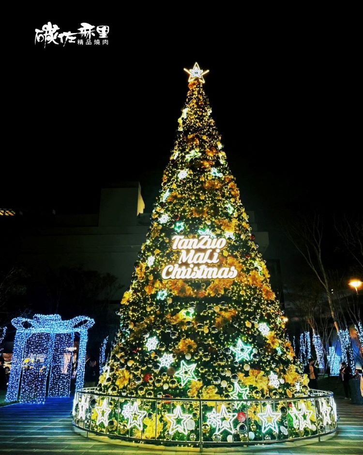 碳佐麻里新興園區 聖誕樹.jpg