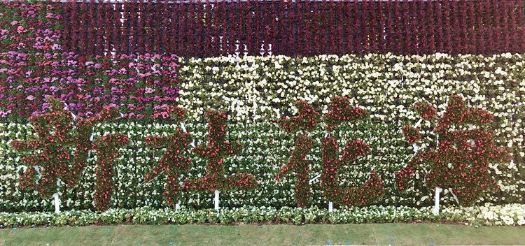 新社花海_181203_0045.jpg