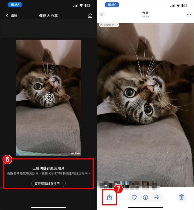 iPhone動態桌布 3.jpg