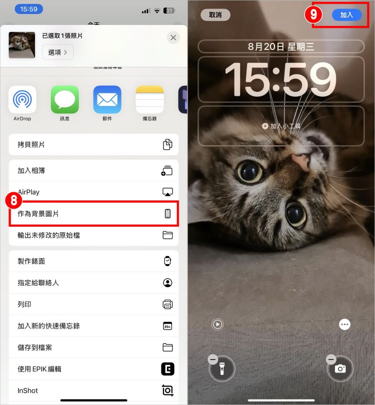 iPhone動態桌布 4.jpg