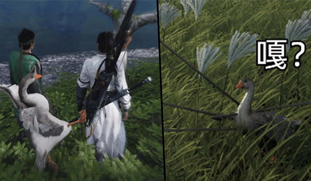 《燕雲十六聲》被「大鵝」痛扁災情不斷！練就十八般武藝也比不過鵝鵝踢幾下