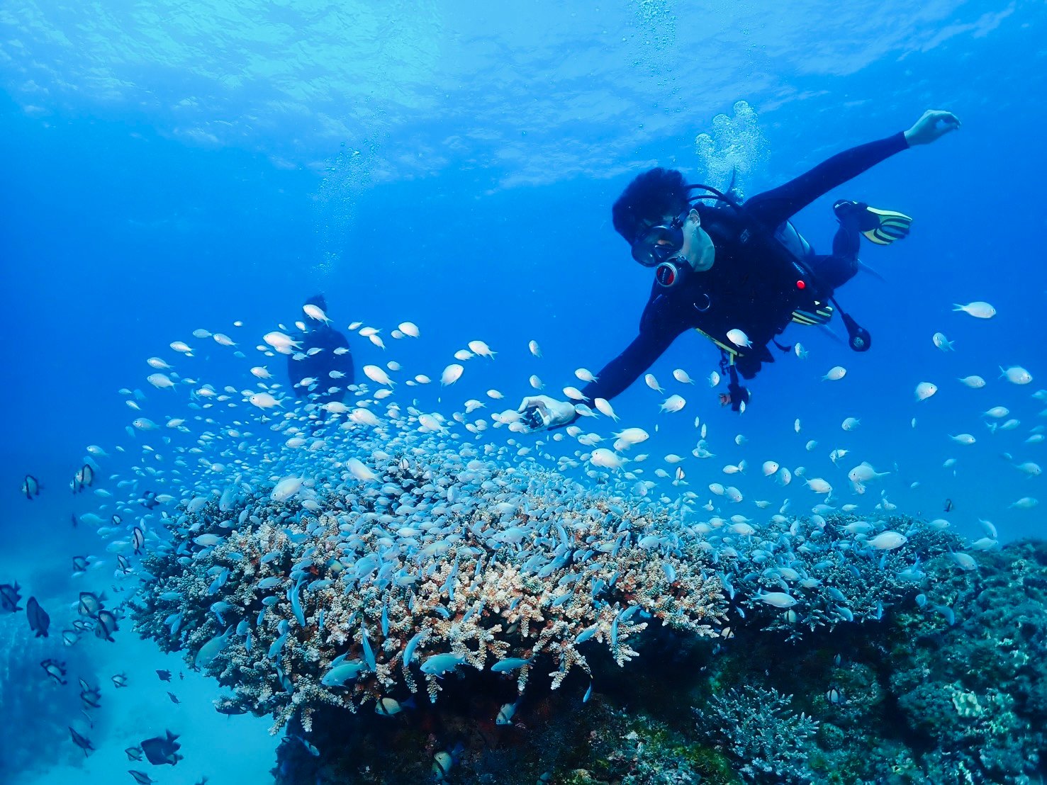 心海潛水
