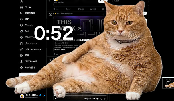 貓，你擋到畫面了！開發者打造《Cat Gatekeeper》Chrome擴充功能，SNS看太久會被橘貓進攻