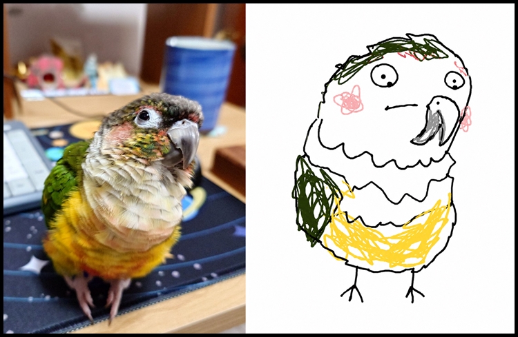 bird.jpg
