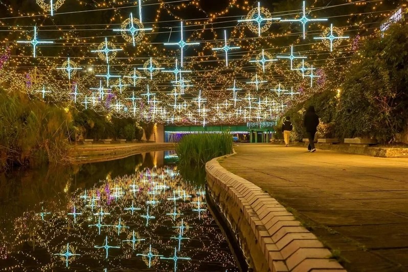 2026中港大排 光雕展-06.jpg