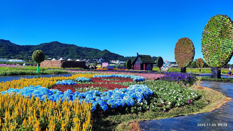 2025新社花海-1.jpg